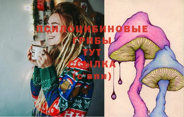 тгк Касимов