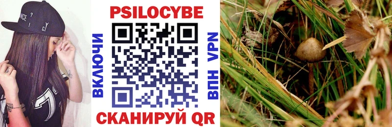 Псилоцибиновые грибы GOLDEN TEACHER  Катайск 